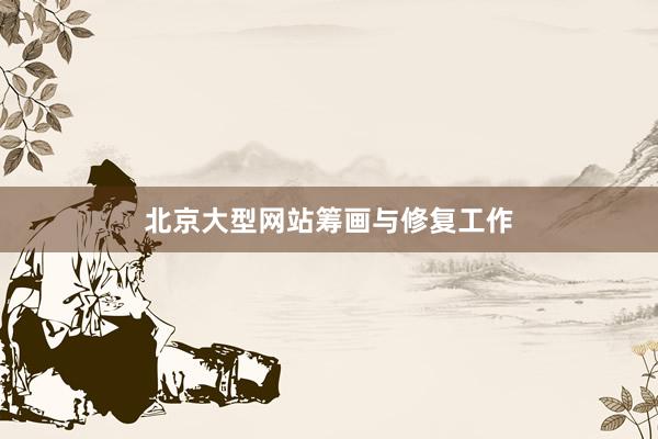 北京大型网站筹画与修复工作