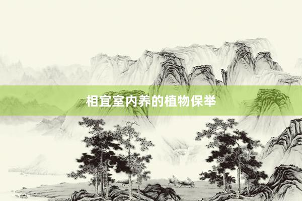相宜室内养的植物保举